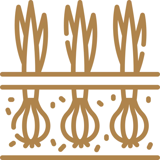 Venta de hortícolas